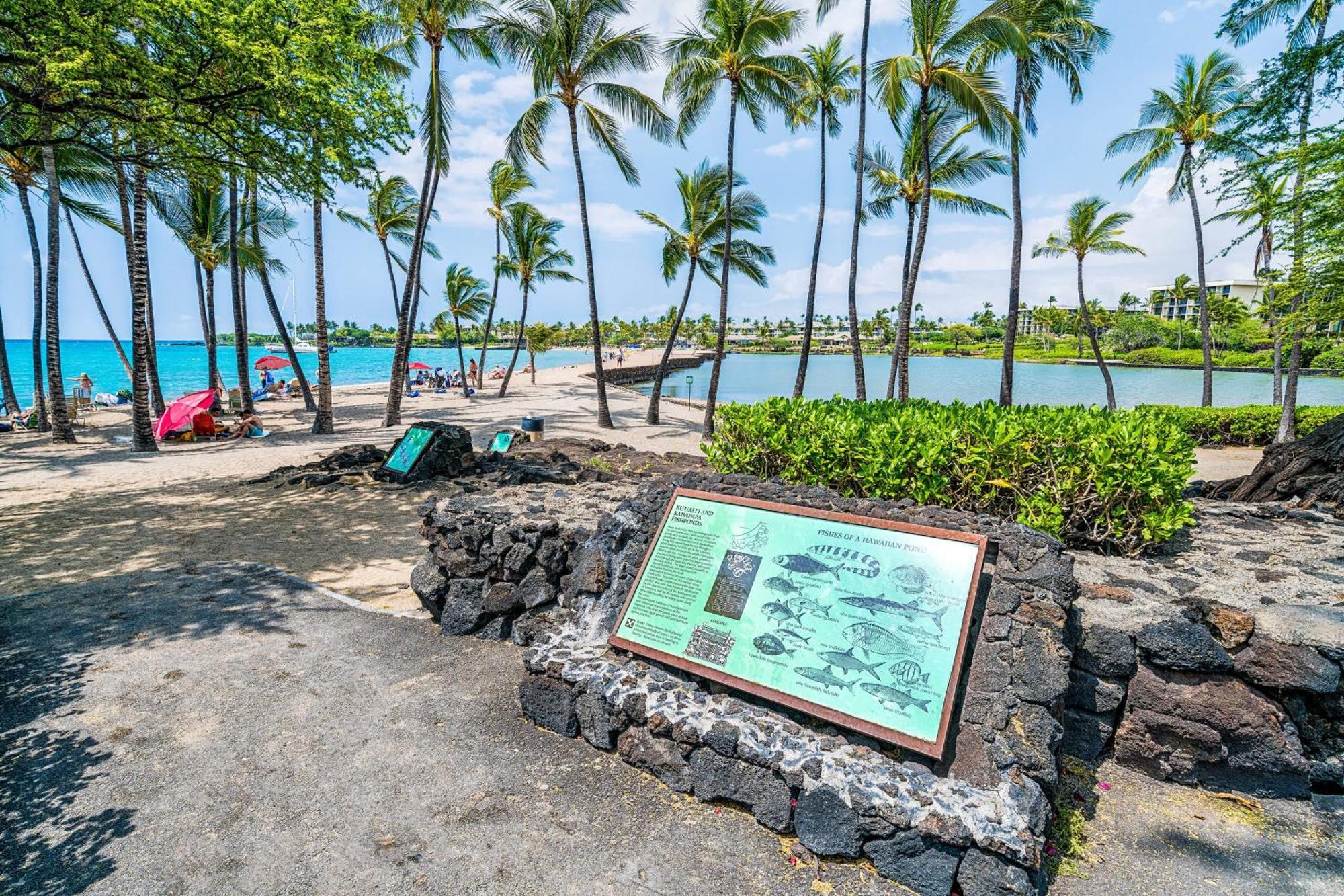 Halii Kai 11D Vila Waikoloa Exterior foto